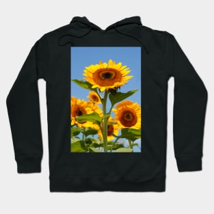 Rise and Shine Hoodie